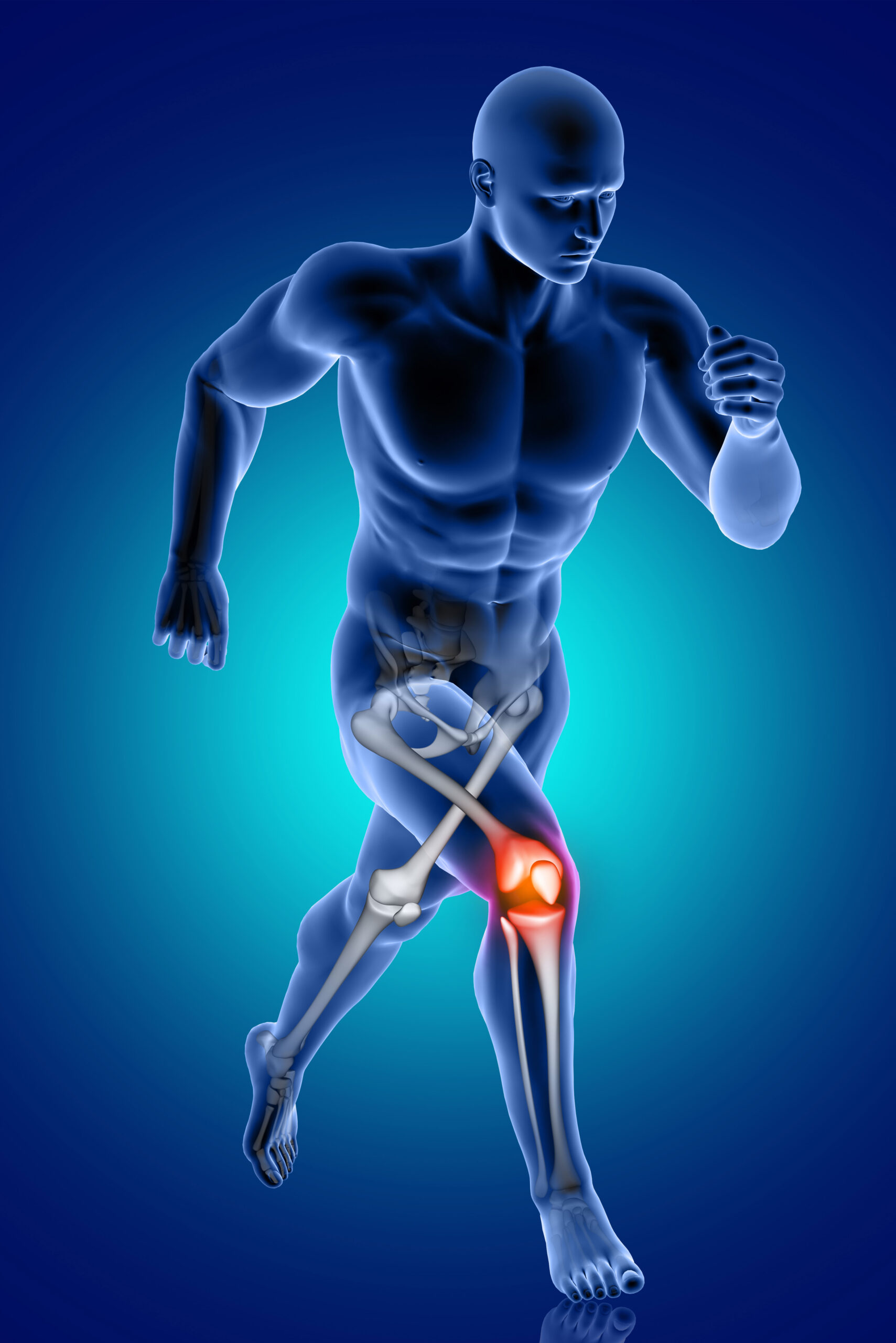 knee